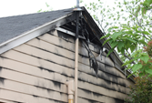 Fire Damaged Home - Fire Damage Restoration